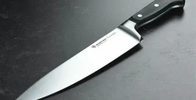 16 Top Types Of Kitchen Knives: Ultimate Guide