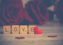 Love Quotes: How to Express Love in Words
