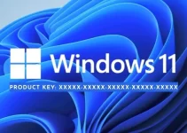 How to Buy a Windows 11 Pro Product Key