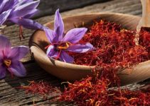 Unveiling the Golden Treasure: Where to Buy Saffron That’s Real and Pure