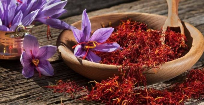 Unveiling the Golden Treasure: Where to Buy Saffron That’s Real and Pure