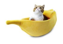 Unleashing Comfort and Care: A Comprehensive Guide to the Best Cat Accessories
