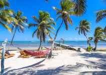 Maximize Your Returns: The Best Areas in Belize for Property Investment