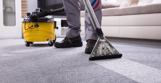 The Eco-Friendly Revolution: Carpet Cleaning for a Pet-Safe Home