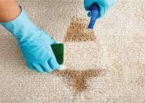 How to Remove Carpet Stains in 5 Minutes: Quick and Easy Tips