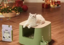 Unveiled: The Ultimate Guide to Eco-Friendly Cat Litter Boxes – Transform Your Cat’s World
