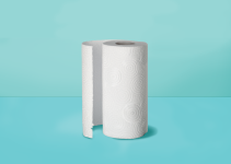 Which Paper Towel is the Most Absorbent?