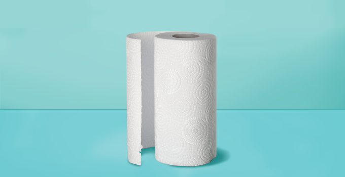 Which Paper Towel is the Most Absorbent?